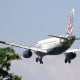800px-Ethnic.a320-200.g-meda.whalerider.arp A320-200 British Airways © Arpingstone
