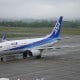 ANA Boeing 737-700 All Nippon Airways Boeing 737-700 © 221.20
