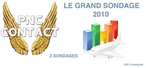 Résultats du Grand Sondage 2010