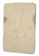 Éponge © PNC Contact