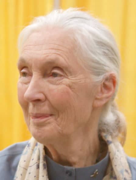 Air France, Jane Goodall écrit à de Juniac