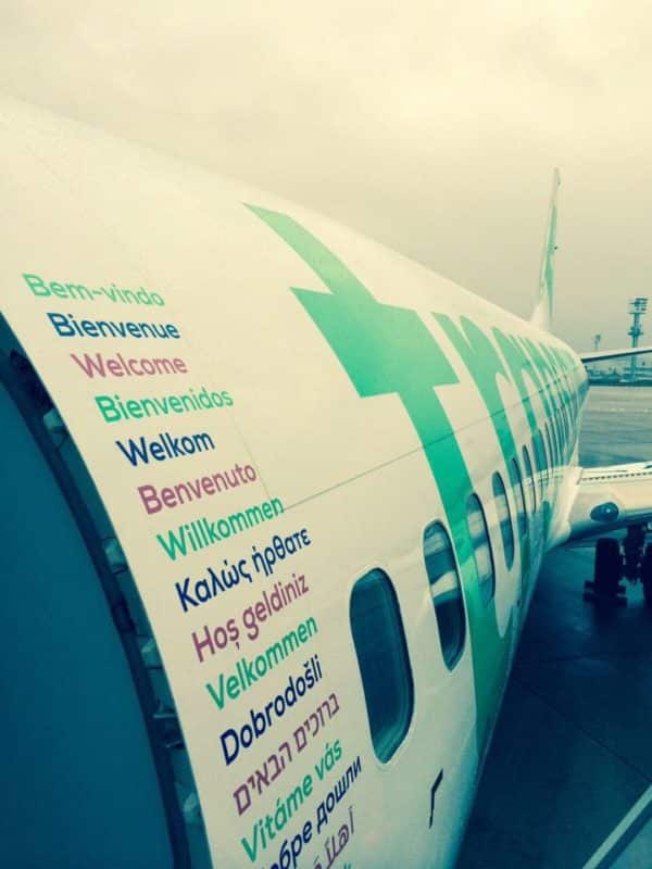 transavia recrute hôtesses de l'air