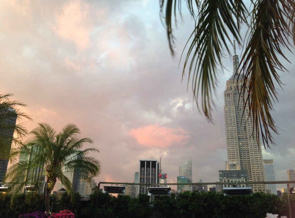 Top 3 des best rooftops In NYC