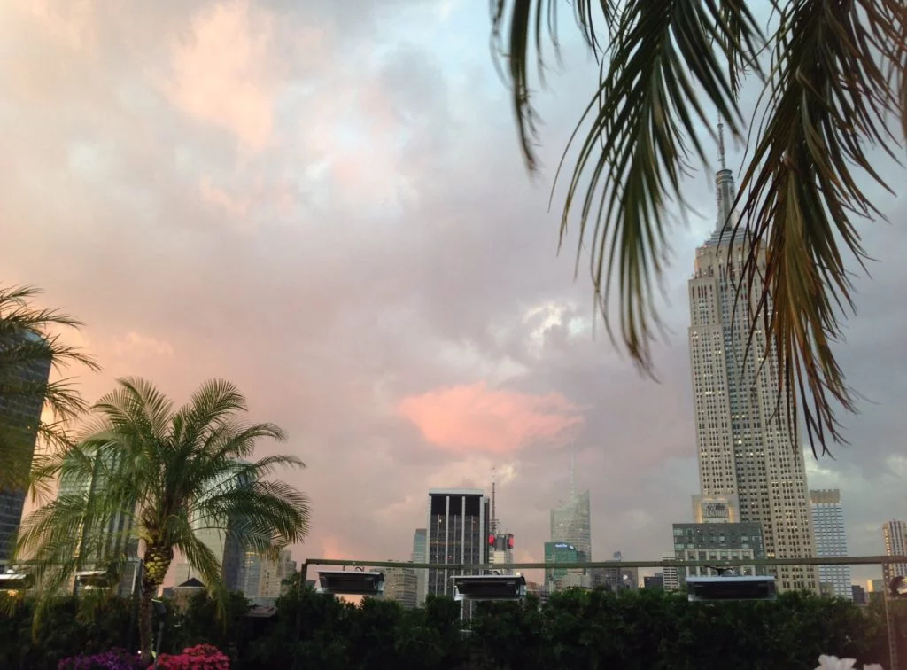 Top 3 des best rooftops In NYC