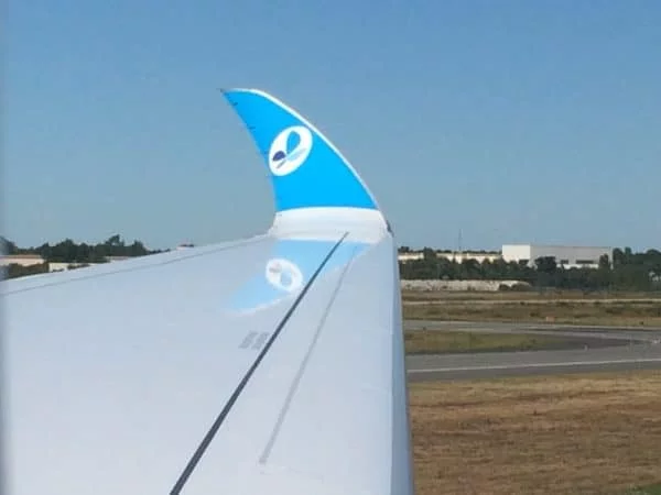 A350 de French bee hôtesse de l'air