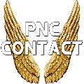 PNC Contact, la chanson