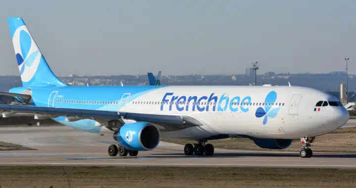 accident french bee